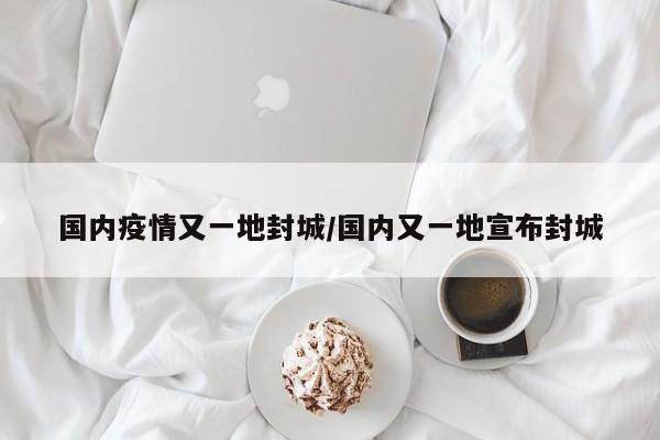 国内疫情又一地封城/国内又一地宣布封城