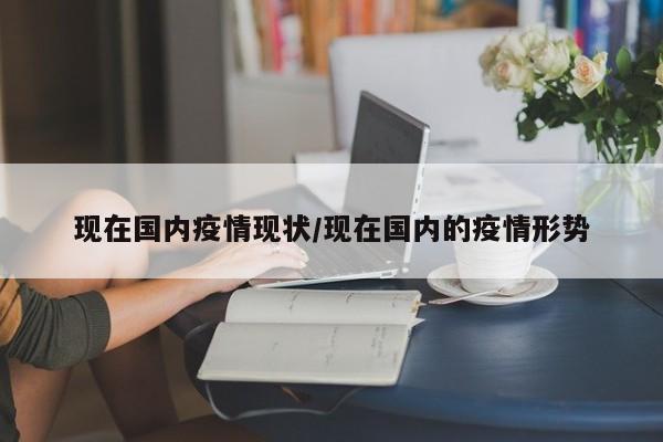 现在国内疫情现状/现在国内的疫情形势