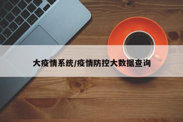 大疫情系统/疫情防控大数据查询
