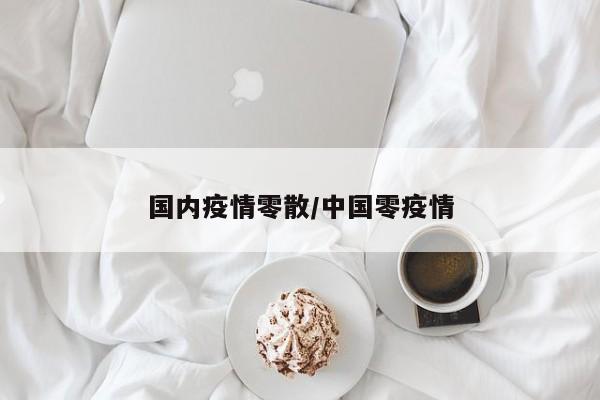 国内疫情零散/中国零疫情