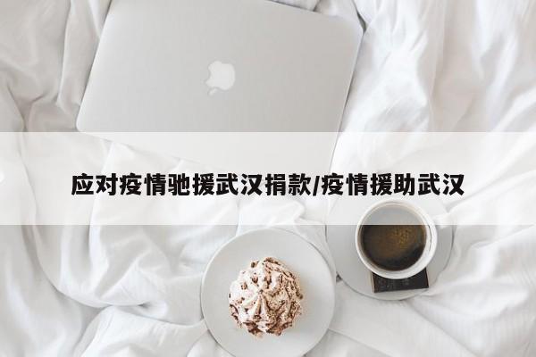 应对疫情驰援武汉捐款/疫情援助武汉