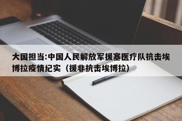 大国担当:中国人民解放军援塞医疗队抗击埃博拉疫情纪实（援非抗击埃博拉）