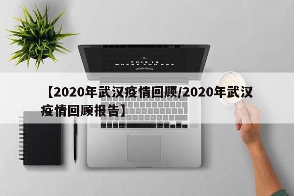 【2020年武汉疫情回顾/2020年武汉疫情回顾报告】