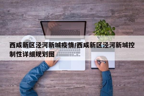 西咸新区泾河新城疫情/西咸新区泾河新城控制性详细规划图