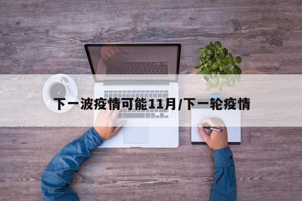 下一波疫情可能11月/下一轮疫情