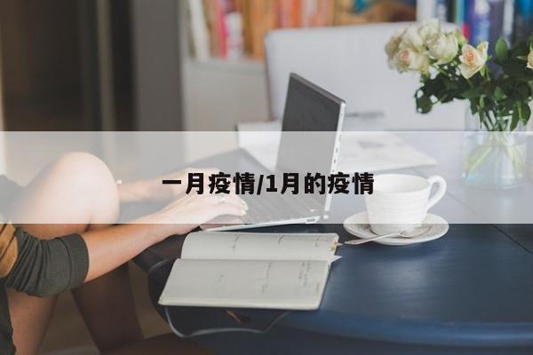 一月疫情/1月的疫情