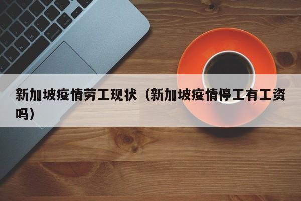 新加坡疫情劳工现状（新加坡疫情停工有工资吗）